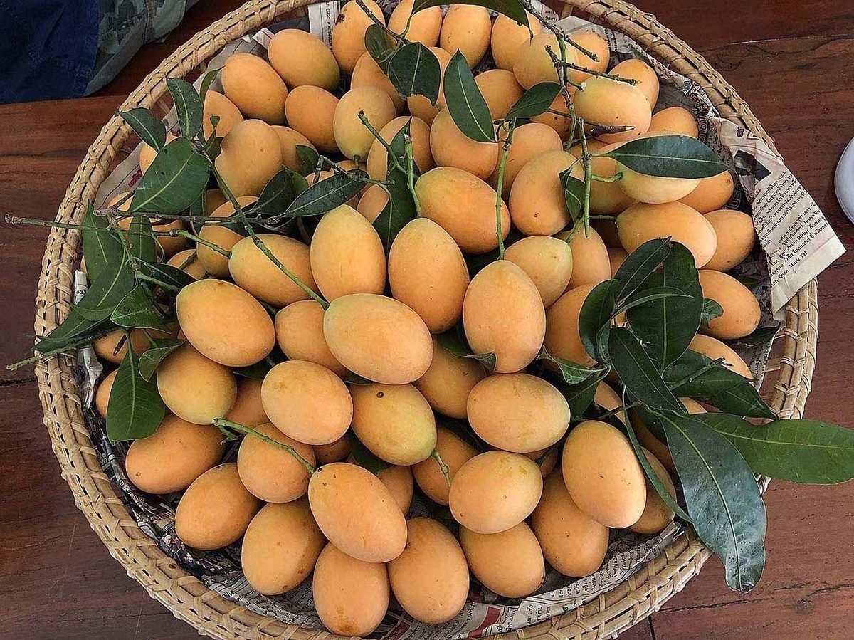 Basket of fresh Lao fruit