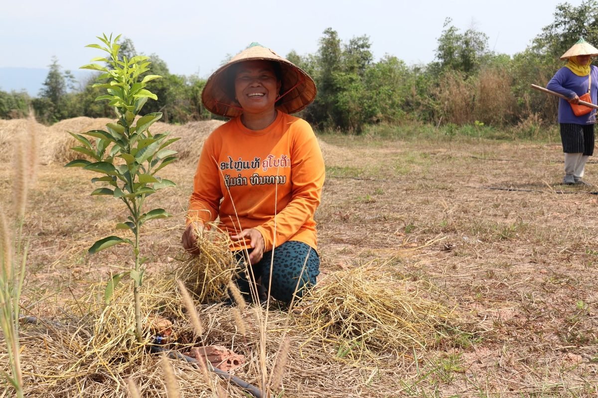 A villager planting a young tree at the Natan project
